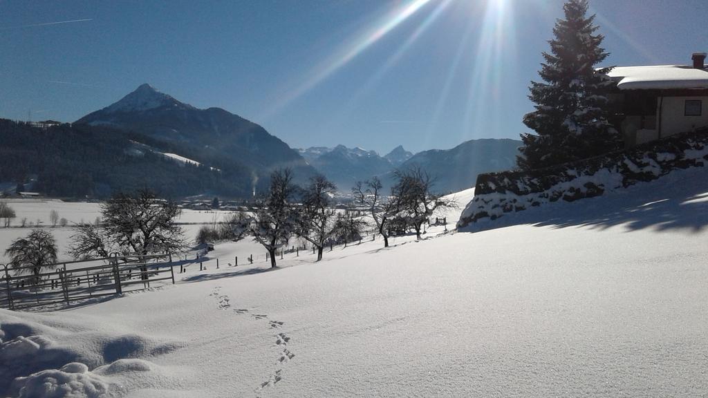 Oberfischergut Flachau Extérieur photo
