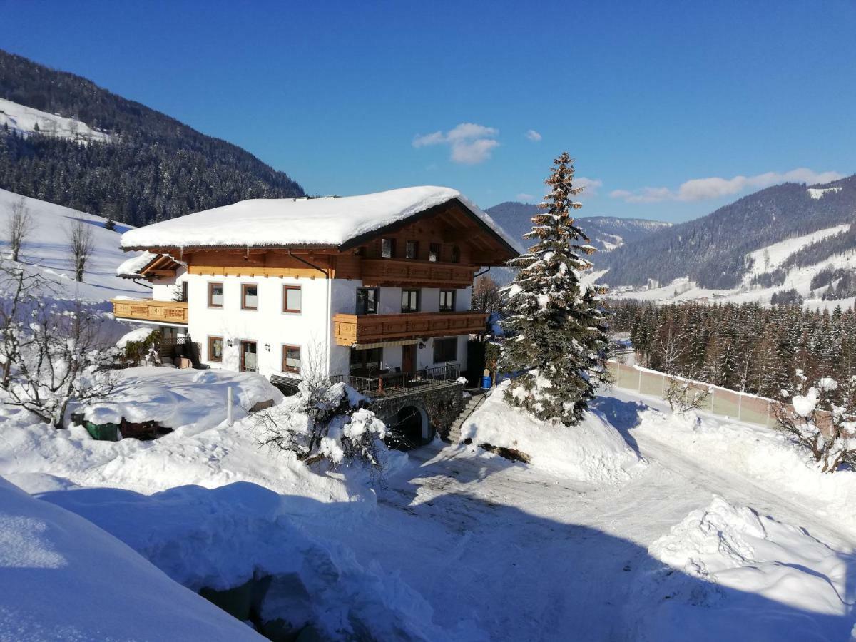Oberfischergut Flachau Extérieur photo
