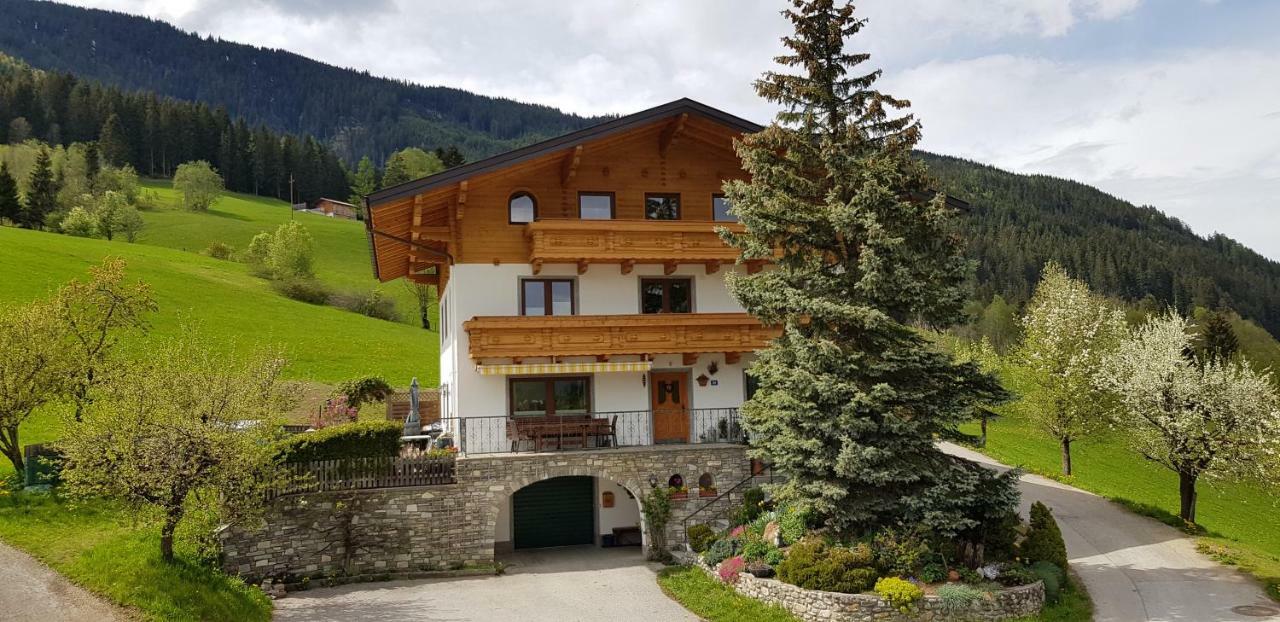 Oberfischergut Flachau Extérieur photo